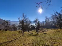 Недвижимость Поместье, Ферма ПОДЬЕЛЕ: 9