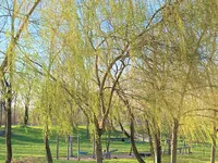 Недвижимость Участок, Подлежащий Застройке Рудник: 3