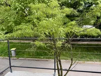 Недвижимость Дом с террасой Кодельево: 8