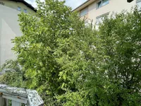 Недвижимость Дом с террасой Новая Любляна Шишка: 16