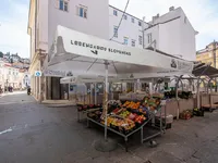 Недвижимость Квартира 2 5-комнатная Пиран: 16