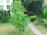 Недвижимость Квартира Сежана Иван Турсича 10: 5
