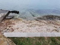 Недвижимость Дом, Изола: 1