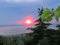 Недвижимость Дом, Изола: 7