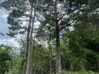 Недвижимость Имение, Сельскохозяйственное угодье Ново-Блед.: 14