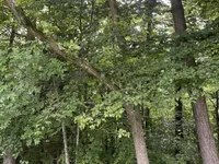 Недвижимость Имение, Сельскохозяйственное угодье Ново-Блед.: 15