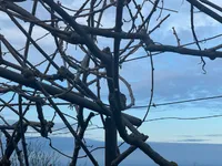 Недвижимость Дом, Порторож: 2