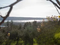 Недвижимость Дом Другоново Паречаг.: 9