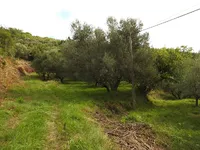 Недвижимость Дом Сеча Порторож: 13