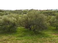 Недвижимость Дом Сеча Порторож: 15