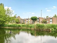 Недвижимость Bolingbroke Grove, Battersea: 7