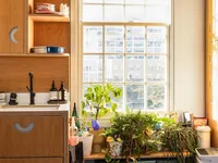Недвижимость Clapham Road, Oval: 6
