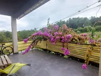 Недвижимость Двухэтажный дом Бертоки: 10