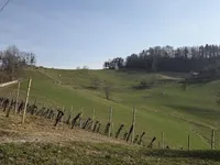 Недвижимость Усадьба, Новая Ферма, Сентиль в Словенских Горицах: 9