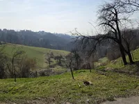 Недвижимость Усадьба, Новая Ферма, Сентиль в Словенских Горицах: 11