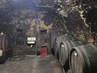 Недвижимость Усадьба, Новая Ферма, Сентиль в Словенских Горицах: 16