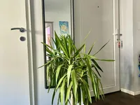 Недвижимость Квартира, 4-комн., Новый Литострой: 21