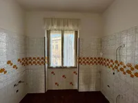 Недвижимость Трехкомнатная квартира в центре: 7