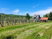 Недвижимость Усадьба и ферма Райец, Йесенице-на-Доленськем: 9