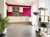 Недвижимость Duplex 2 bedrooms for sale in Hobscheid: 3