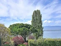 Недвижимость Villa 9 rooms: 1