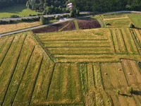 Недвижимость Поместье, ферма Гористица под Кримом.: 5