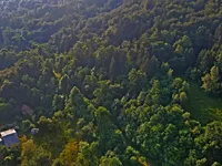 Недвижимость Поместье, ферма Гористица под Кримом.: 6
