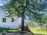 Недвижимость Усадьба Янжева Гора, Сельница об Драви.: 6