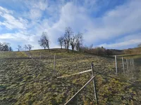 Недвижимость Усадьба, ферма Яренинского дола.: 22