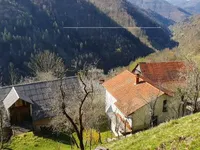 Недвижимость Усадьба, ферма Кук: 6