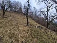 Недвижимость Усадьба, ферма Кук: 7