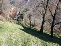 Недвижимость Усадьба, ферма Кук: 11