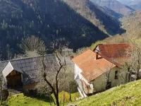 Недвижимость Усадьба, ферма Кук: 12