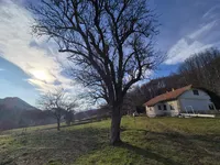 Недвижимость Поместье, усадьба Купчини Верх.: 8