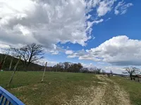 Недвижимость Усадьба Куршинцы: 3