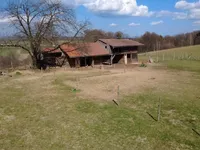 Недвижимость Усадьба Куршинцы: 7