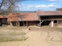 Недвижимость Усадьба Куршинцы: 8