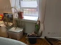 Недвижимость Квартира, 4 комнаты, Роштна Долина: 13