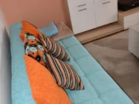Недвижимость Квартира, 2,5 Комнаты, Любляна: 9