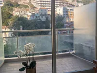 Недвижимость Apartment Monaco, La Rousse: 8