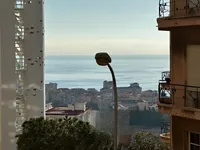 Недвижимость Apartment Monaco, Jardin Exotique: 4