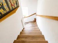 Недвижимость Three-room apartment in Shishka: 9