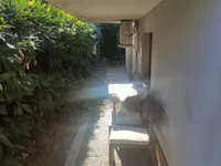 Недвижимость Дом, Изола: 8