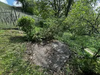 Недвижимость House, Upper Pokhanca: 10