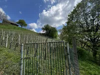 Недвижимость House, Upper Pokhanca: 11