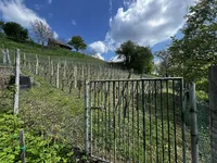 Недвижимость House, Upper Pokhanca: 12