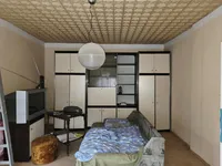 Недвижимость Дом, Римске Топлице: 16