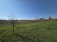 Недвижимость House, Podgorica: 5