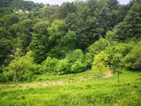 Недвижимость House, Macaulay, Stari Grad: 5