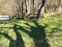 Недвижимость House in Bistrica ob Sotli: 13